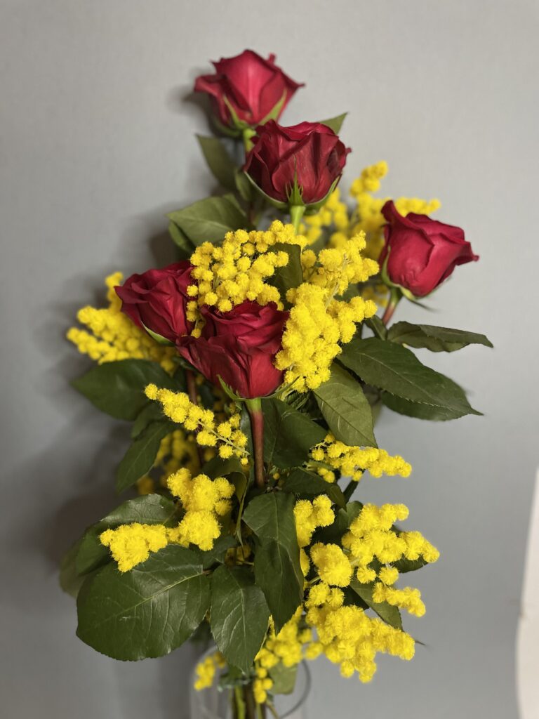 Rose rosse e Mimosa